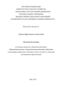 Книга Оценка эффективности инвестиций. Методические указания по изучению дисциплин «Экономика инвестиций», «Инвестиционная стратегия», «Экономическая оценка инвестиций», «Инвестиции» для бакалавров направления «Экономика»