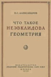 Книга Что такое неэвклидова геометрия