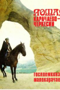 Книга Лошади карачаево-черкессиии