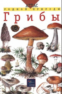 Книга Грибы