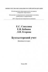 Книга Бухгалтерский учет. Практикум по курсу