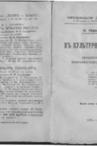 Книга В культурном скиту. Об одной процветающей коммунистической общине