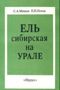 Книга Ель сибирская на Урале