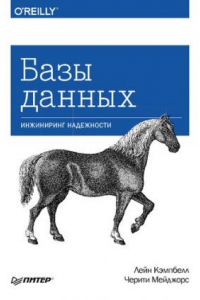 Книга Базы данных. Инжиниринг надежности