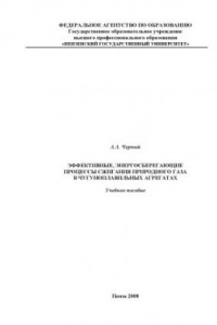 Книга Эффективные, энергосберегающие процессы сжигания природного газа в чугуноплавильных агрегатах: Учебное пособие