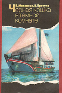 Книга Черная кошка в темной комнате