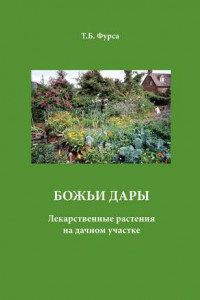 Книга Божьи дары. Лекарственные растения на дачном участке