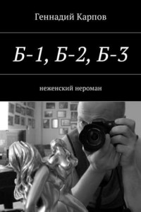 Книга Б-1, Б-2, Б-3. неженский нероман