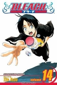 Книга Bleach, Volume 14