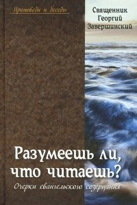 Книга Разумеешь ли, что читаешь? Очерки евангельского созерцания