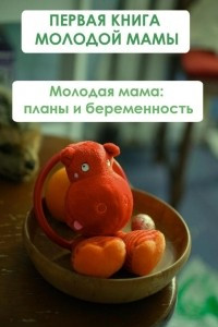 Книга Всё о беременности: этапы. Первая книга молодой мамы