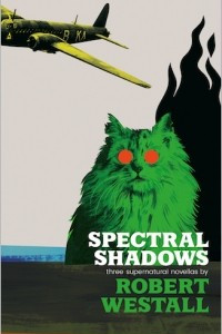 Книга Spectral Shadows