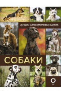 Книга Собаки. Лучший иллюстрированный гид