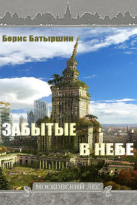 Книга Забытые в небе