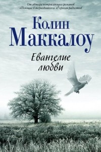 Книга Евангелие любви