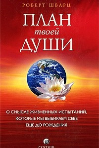 Книга План твоей души. О смысле жизненных испытаний, которые мы выбираем себе еще до рождения