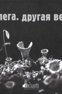 Книга Другая весна