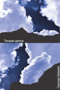 Книга Теория дрона