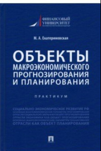 Книга Объекты макроэкономического прогнозирования и планирования. Практикум