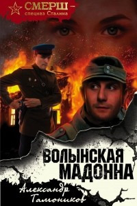 Книга Волынская мадонна