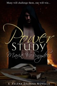 Книга Power Study