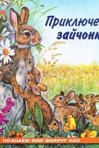 Книга Приключения зайчонка