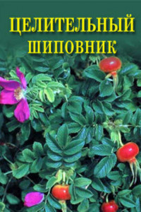 Книга Целительный шиповник