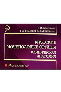 Книга Мужские мочеполовые органы. Клиническая анатомия