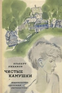 Книга Чистые камушки