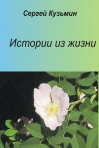 Книга Истории из жизни