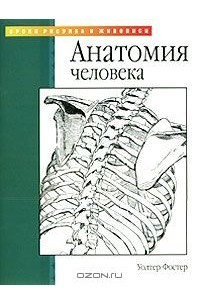 Книга Анатомия человека