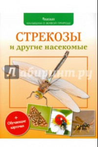 Книга Стрекозы и другие насекомые