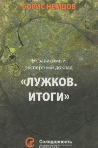 Книга Лужков. Итоги. Независимый экспертный доклад