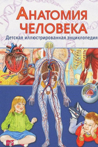 Книга Анатомия человека. Детская иллюстрированная энциклопедия