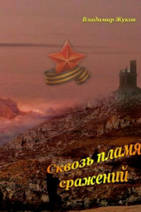 Книга Сквозь пламя сражений