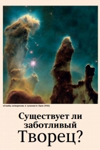 Книга Существует ли заботливый Творец?