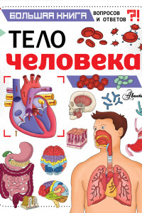 Книга Тело человека