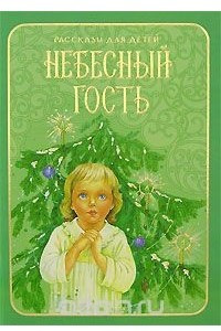 Книга Небесный гость