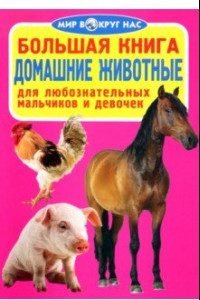 Книга Домашние животные