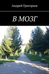 Книга В мозг