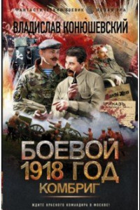 Книга Боевой 1918 год. Комбриг