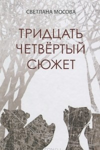 Книга Тридцать четвертый сюжет