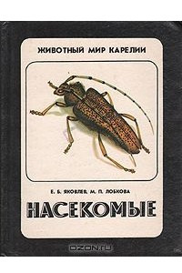 Книга Насекомые