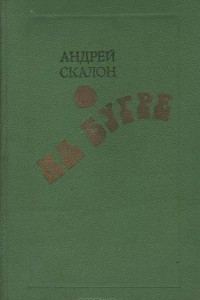 Книга На бугре