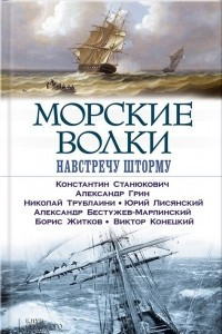 Книга Морские волки. Навстречу шторму