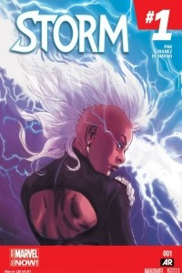 Книга Storm (2014) №1