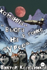 Книга Команда «Вьюга» в гонке на «Урсе»