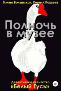 Книга Полночь в музее