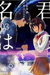 Книга 君の名は。3