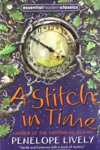 Книга A Stitch in Time